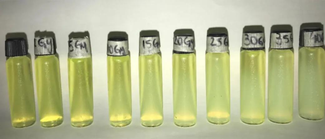 Figura 20: Amostras do gel MAGIC-f com fluoresceína após a irradiação com 6 MV. 