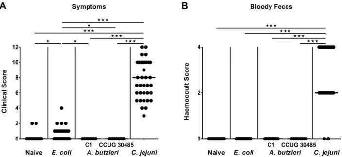 Fig 3. Macroscopic sequelae (disease activity) in perorally infected gnotobiotic IL-10 -/- mice