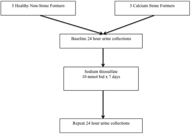 Figure 1. Patient Flowchart and Experimental Design.
