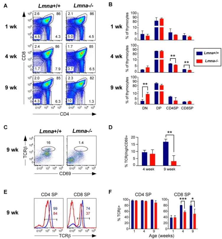 Figure 2. Lmna -/- mice display an age-dependent defect in thymic T cell development. Thymocytes were stained for CD4, CD8, CD69, and panTCRb surface expression