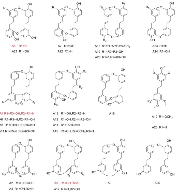 Figure 1. Chemical structures of bisbibenzyls tested in the antifungal screen. Marked in red were the ones used for further research.