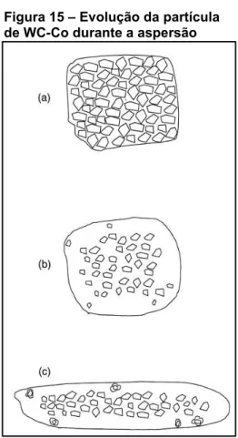 Figura 15  –  Evolução da partícula  de WC-Co durante a aspersão 
