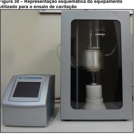 Figura 30  –  Representação esquemática do equipamento  utilizado para o ensaio de cavitação 