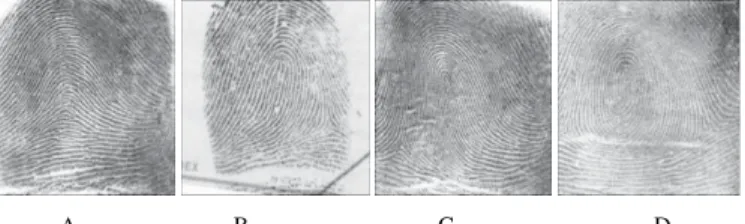 Figure 6: AFIS Pattern Types:(A) Arch; (B) Left Loop; (C) Right Loop; (D) Whorl 