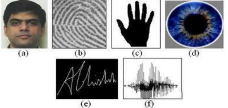 Figure 3: Various steps involved in a Biometric system  2.9.1. DNA 