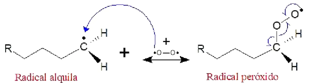 Figura  2.16:  Etapa  inicial  da  oxidação  por  oxigênio  atômico.  Fonte:  adaptado  de     [63,65,76,110,111]
