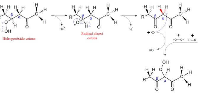 Figura 2.22: Reações de oxidação de cetonas e dicetonas, segundo proposto por Jin [109]