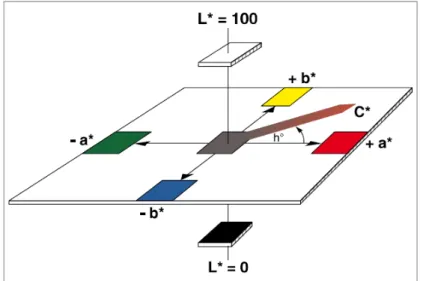 Figura 9  –  Sistema CIE de medição de cor (MAST, 2016) 