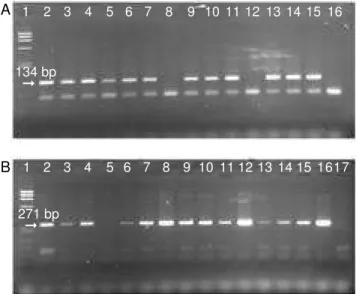 Figure 2. Sensitivity screening of PCR method to detect bovine presence in porcine spray-dried red cell samples.