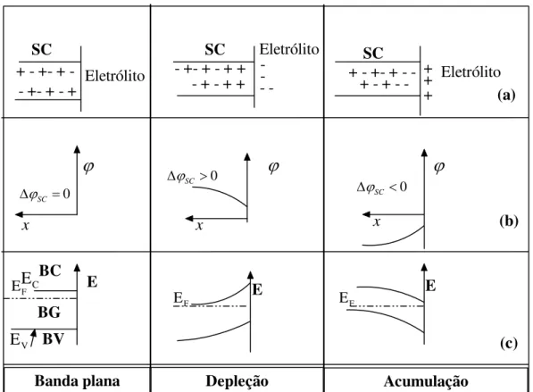 Figura 2.6: Representa¸c˜ao da forma¸c˜ao da regi˜ao de carga espacial (RCE) em uma interface semicondutor(n)/eletr´olito (a); Varia¸c˜ao do potencial ϕ (b) e entortamento das bandas (c) [13, 44].