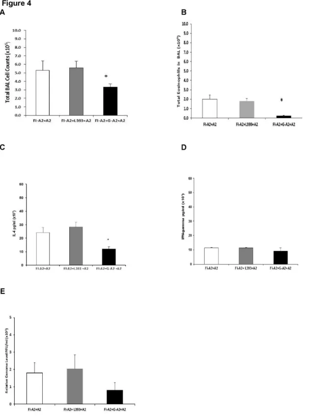 Figure  4.    Decreased  pulmonary  cell  inflammatory  response  in  FI-A2  and  G-A2  peptide  vaccinated  mice  after  RSV challenge