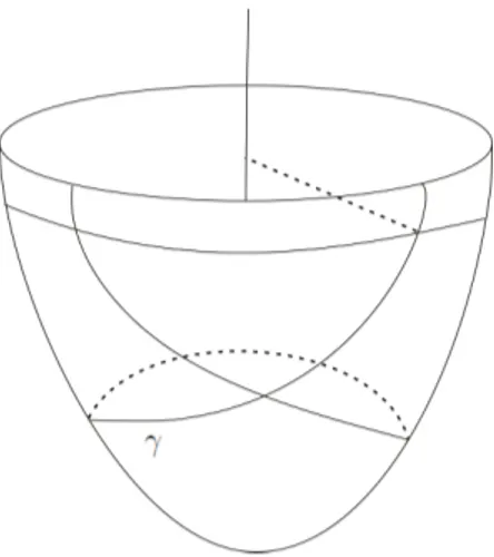 Figura 1.3: Geod´esicas de um parabol´oide