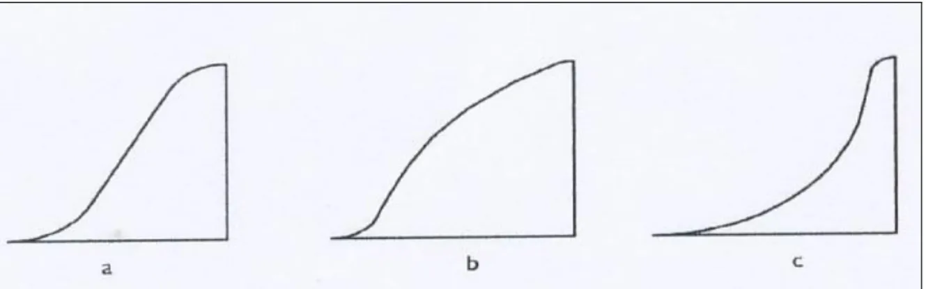 Figura 02  –  Perfis típicos de encostas: a - retilíneo; b-convexo; c-côncavo  Fonte: (Cunha, 1991
