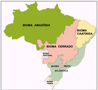 Figura 03- Biomas Brasileiros. 