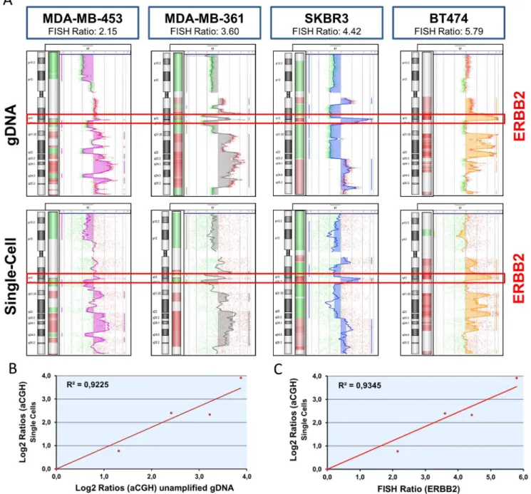 Figure 4. Quantitative assessment of copy number changes in tumor cells by single cell aCGH