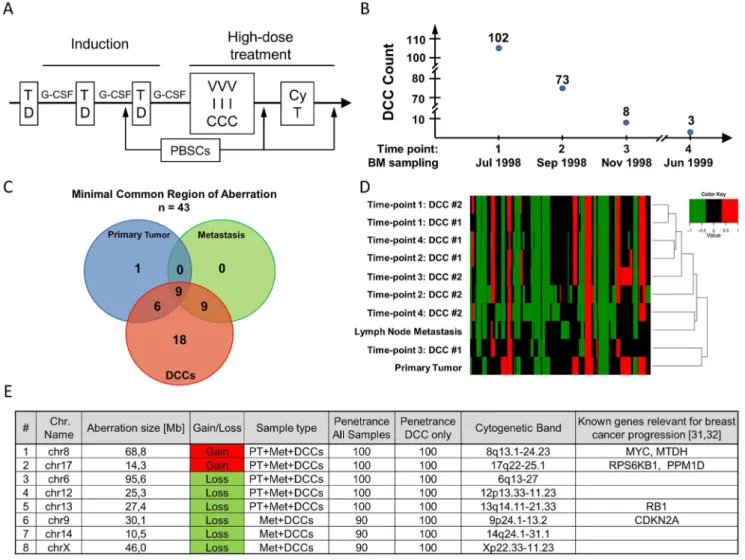Figure 5. Molecular findings in individual DCCs over the course of systemic treatment