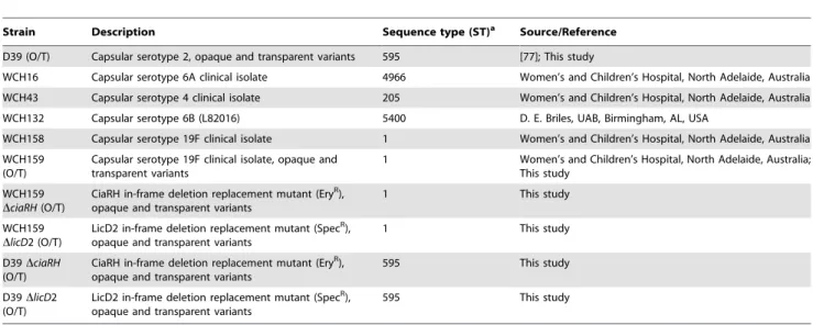 Table 4. Primers used in this study.