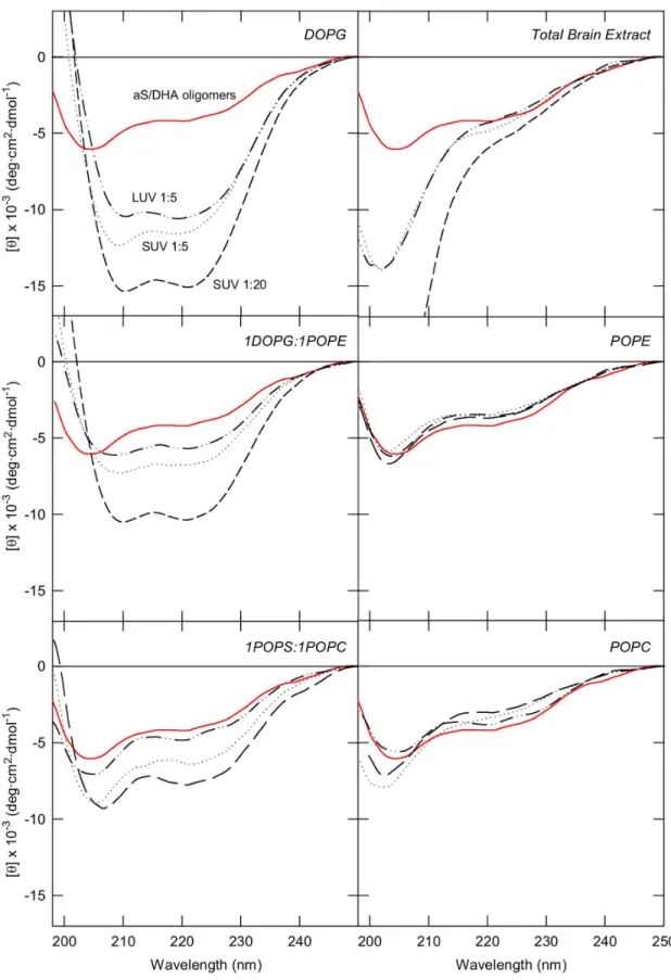 Figure  2.    Interaction  of  aS/DHA  oligomers  with  lipid  vesicles  with  different  composition  monitored  by  far  UV  CD