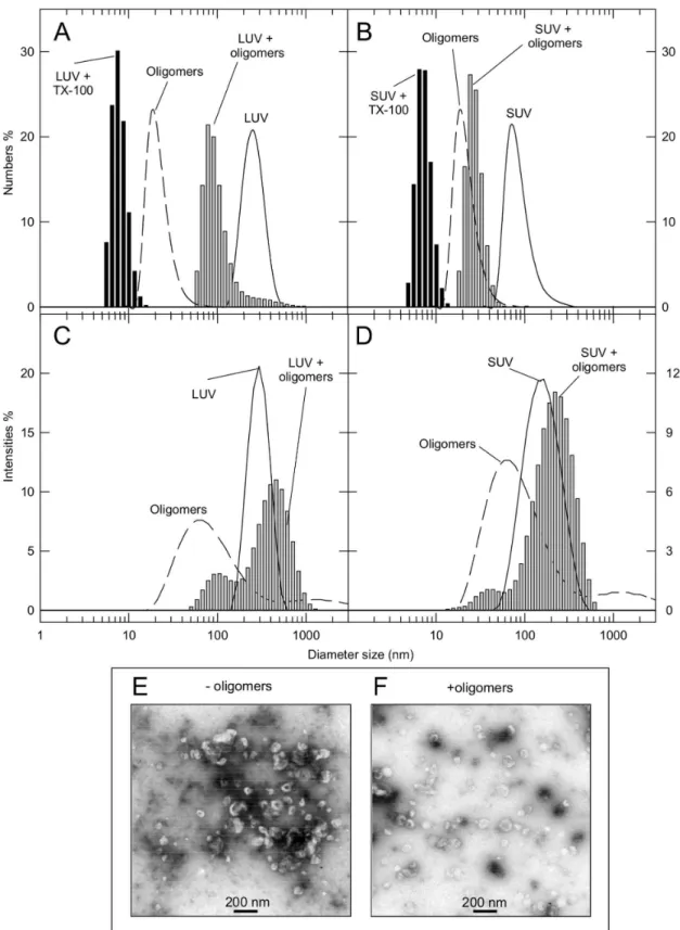 Figure 6.  Interaction of aS/DHA oligomers with DOPG vesicles by DLS and TEM.  DLS analysis, expressed as numbers (A,B) or as intensities (C,D) and TEM images (E,F) are reported