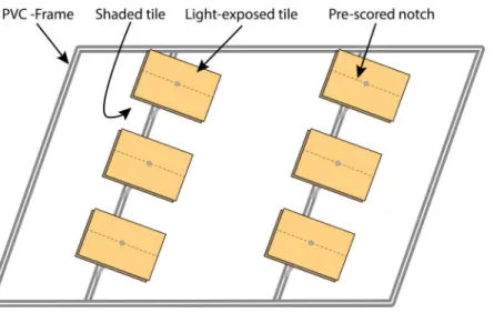 Figure 1 Schematic drawing of the experimental setup. Shown is a PVC frame equipped with twelve tiles (two of them spare tiles) half of them in light exposed conditions and half of them in light shaded conditions