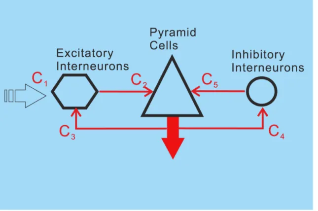 Figure 1. Neural mass model of Jansen and Rit with excitatory interneurons (EIN), pyramidal cells (PC) as well as inhibitory interneurons (IIN).