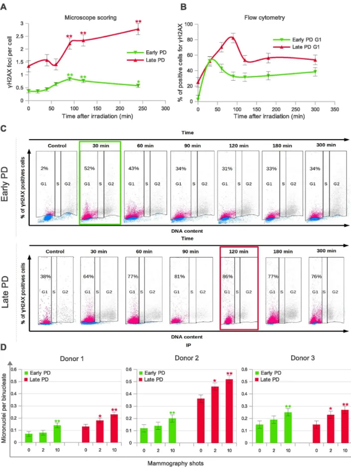 Figure 2. DNA double strand breaks (DSBs) measured by detection of cH2AX induction in late PD HMECs by mammogram X-rays last longer than in early PD HMECs