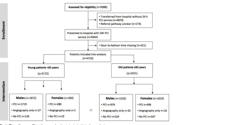 Fig 1. Flow diagram. Flow diagram of patients included into the analysis.
