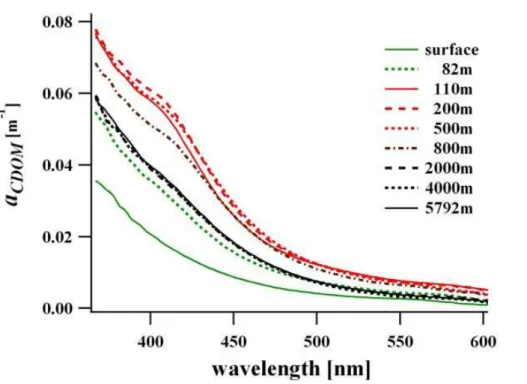 Fig. 1. Depth-dependent light absorption of CDOM in the tropical Atlantic Ocean (S 12 ◦ , W 2 ◦ ) in November 2005 (ANT XXIII/1) as a function of wavelength.