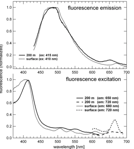 Fig. 7. Single fluorescence emission (a) and excitation (b) spectra for the same two samples as in Fig