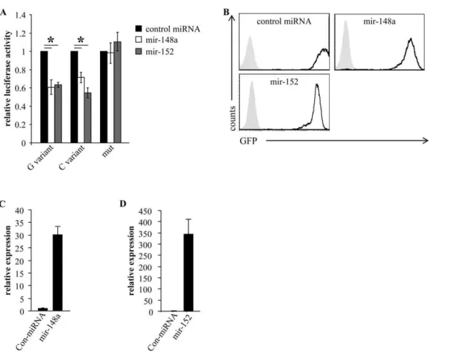 Figure 2. MiR-148a and miR-152 specifically target the 3 9 UTR of HLA-G. (A) Luciferase activity in RKO cells transduced with control miRNA (black columns), miR-148a (white columns) or miR-152 (grey columns)
