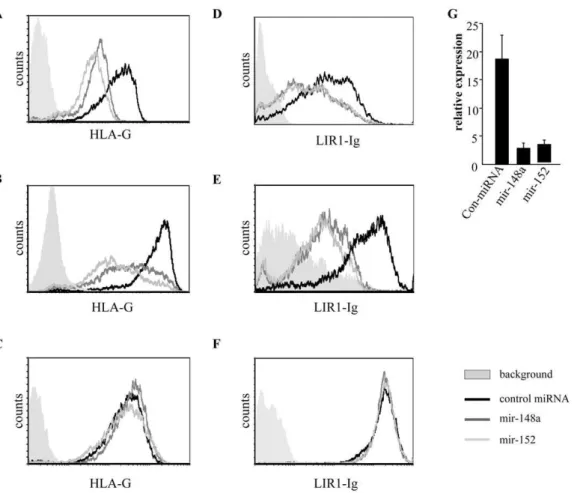 Figure 3. MiR-148a and miR-152 down-regulate HLA-G expression and reduce LILRB1 binding