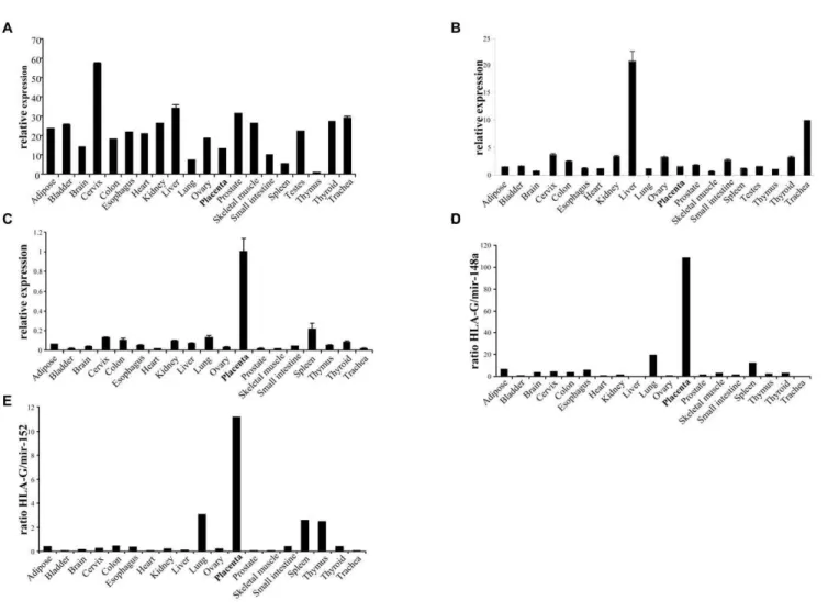 Figure 6. Expression of miR-148a, miR-152 and HLA-G mRNA in various human tissues. (A–C) Quantitative real-time PCR analysis of miR- miR-148a (A), miR-152 (B) and the mRNA of HLA-G (C) in different healthy tissues, presented relative to miR-16 (A and B) or