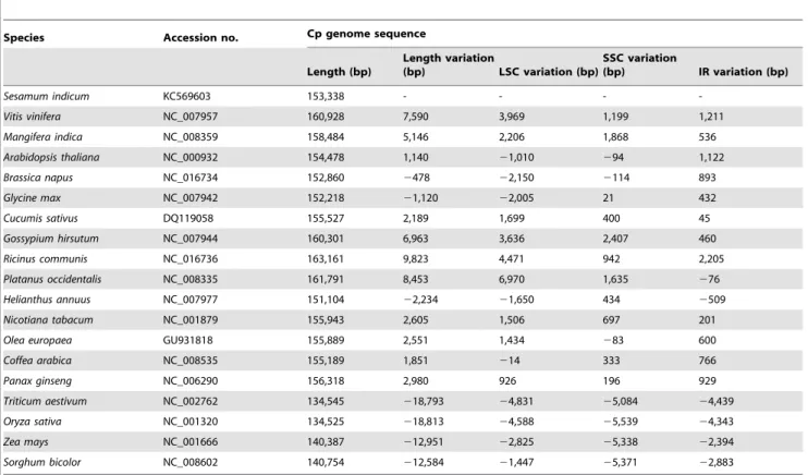 Table 2. Comparison of cp genome size between sesame and 18 other species.