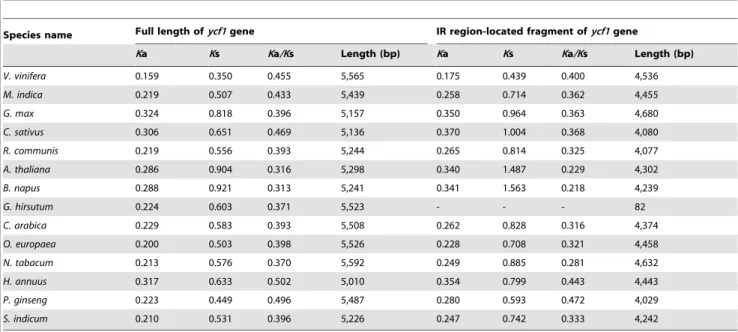 Figure 4. Multiple sequence alignment of rps12 genes between 15 species. Black triangles indicate amino acids with convergent evolution in both S