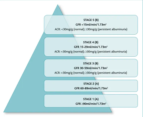 Figure 1. Classification of chronic kidney disease. 12-14