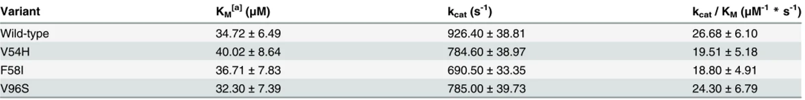 Table 3. Kinetic parameters of Bs LipA variants and wild-type.