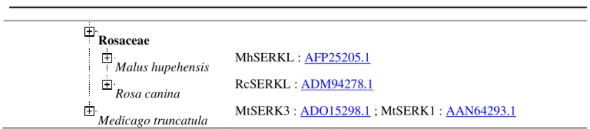 Figure 3. Ancestral protein of monocots and dicots using FASTML program in the N1 indicate in  Figure 2 