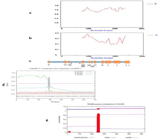 Figure 1. PhSERKL sequence analysis. a: Sliding-window analysis of Tajima’s D for the 30 SERK  mRNA  sequences  plotted  against  nucleotide  position;  b:  Sliding-window  analysis  of  nucleotide diversity for the 30 SERK mRNA sequences plotted against n