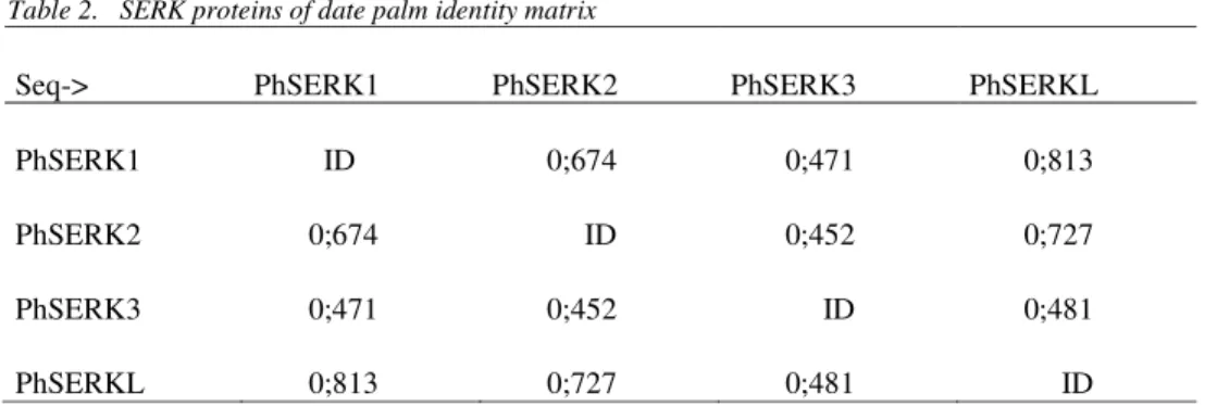 Table 2.   SERK proteins of date palm identity matrix 