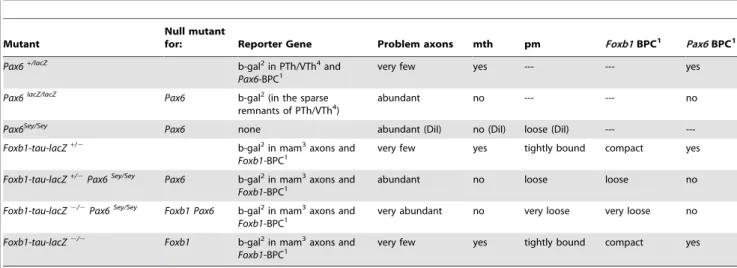 Table 1. Foxb1 and Pax6: Mutants and Phenotypes.