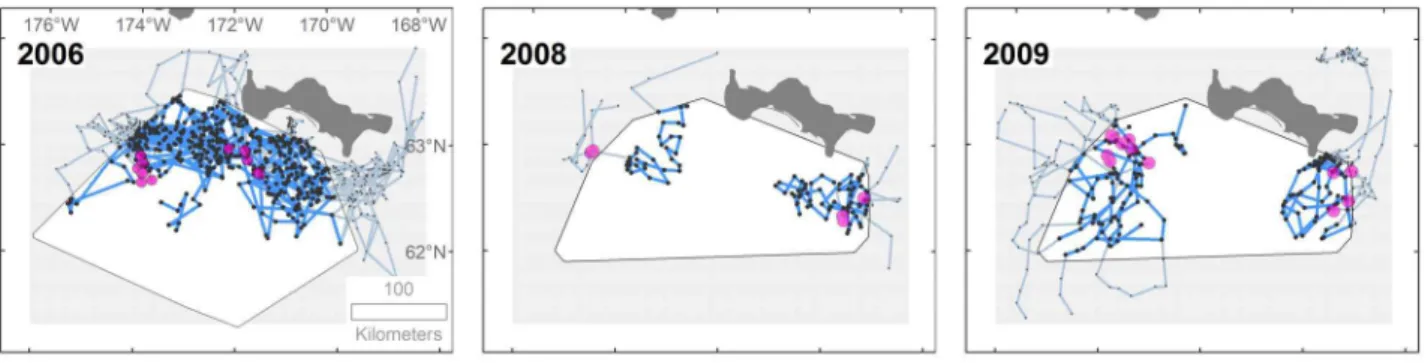 Figure 2. Pacific walrus radio-tracks within benthic sampling areas in 2006 and 2008–2009