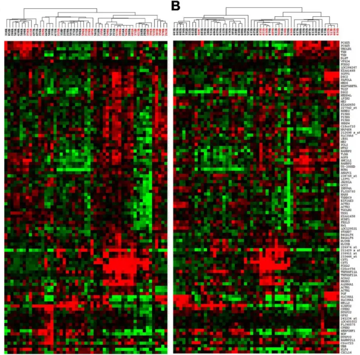 Fig 2. Hierarchical clustering of outcome associated genes in training set (A) and validation set (B) showing poor outcome in distinct subsets of tumors