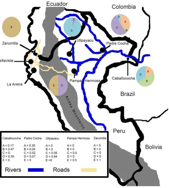 Figure 2. Sample Collection Sites and Distribution of Clonets. A map of Peru that shows the collection sites, as well as the Andes Mountains (dark gray), roads of interest (black lines over Andes), and rivers of interest in the Amazon (light gray)