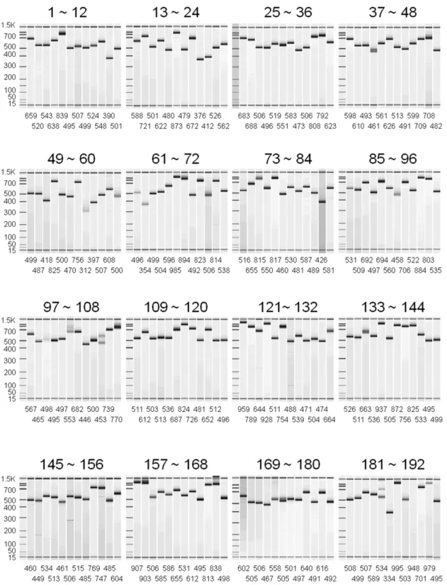Figure 2. Electropherogram of singleplex PCR products with 192 pairs of locus-specific primers
