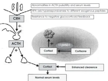 Figure 2. Abnormalities in the central regulatory control and in the peripheral metabolism of cortisol in obesity