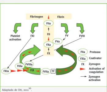 Figura 1 – Ativação da cascata da coagulação dependente  do FT