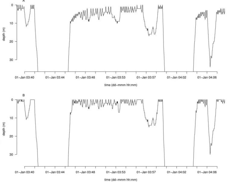 Figure 7. Comparison of ZOC adjusted and unadjusted TDR data from a short-finned pilot whale