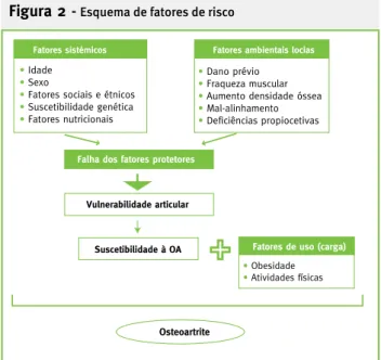 Figura 2 -  Esquema de fatores de risco
