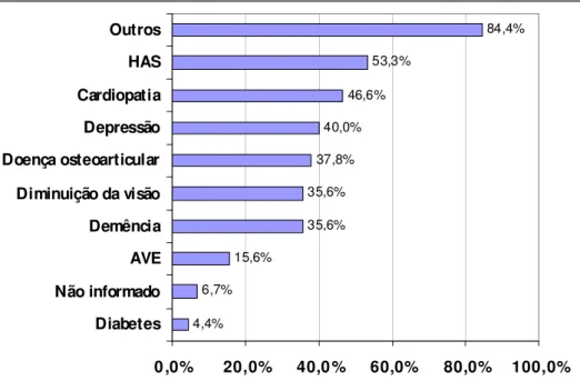Figura 1. Diagnósticos dos pacientes que sofreram quedas. São Paulo, 2009. 