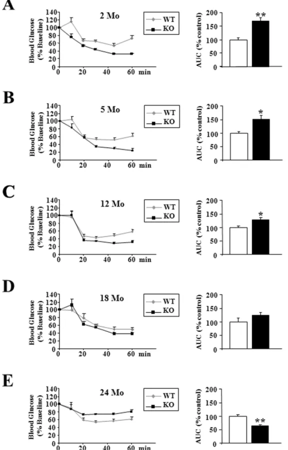 Figure 7. p43 2 / 2 mice became insulin-resistant during aging. (A–E) Whole body insulin sensitivity after intra-peritoneal insulin injection (0.75 U/kg) and quantification of the area above the curve at the indicated ages in wild-type (WT) and p432/2 mice